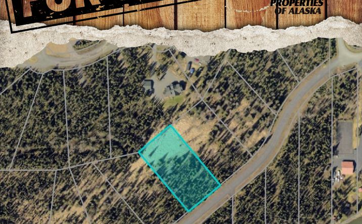 876 RIVER ESTS DR, SOLDOTNA