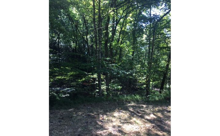 LT 22 Toccoa River Forest, Mineral Bluff