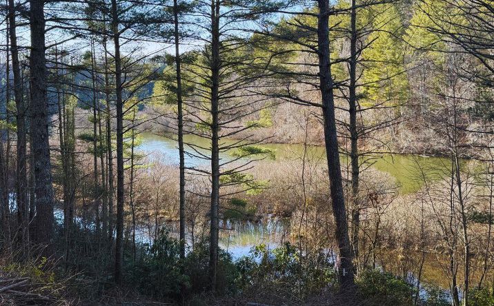 Lot 46 Trillium Heights, Hayesville