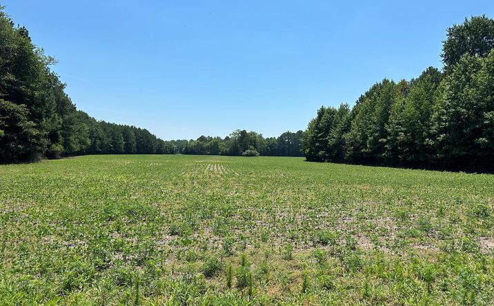1040 Ottoman Ferry Road, LIVELY