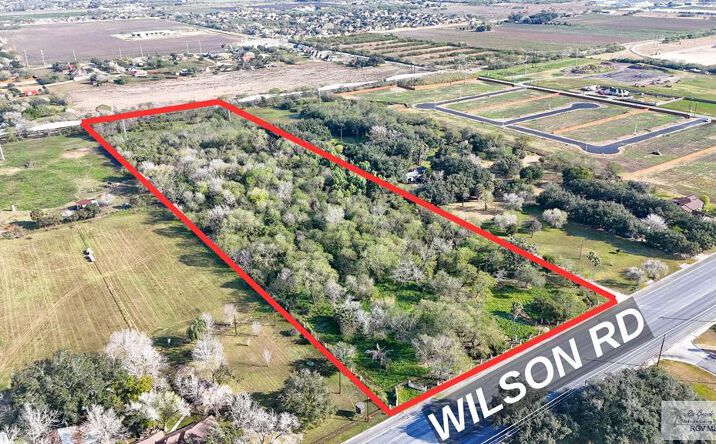 10 ACRES Wilson Road, Harlingen