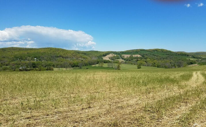 Gallatinville Rd., Gallatin
