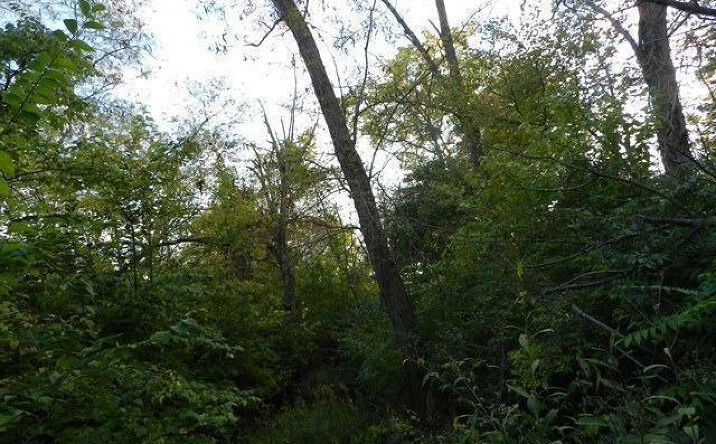Hankins Road, Liberty Twp
