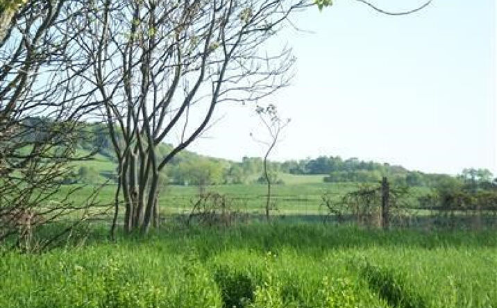 Tims Road, Ancram