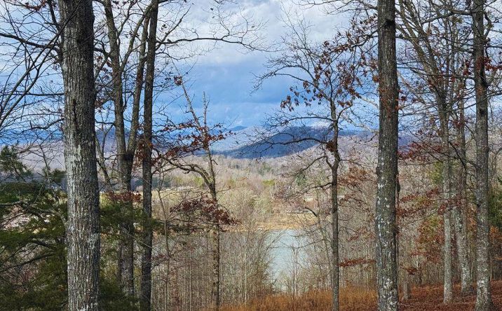 Lot 8 Drake Ridge, Hayesville