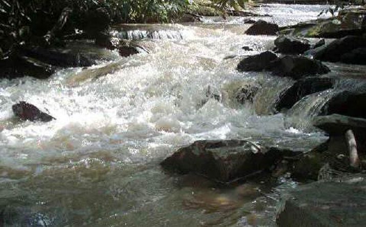 LOT15 Bell Road, Mineral Bluff