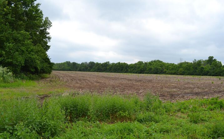 Hankins Road, Liberty Twp