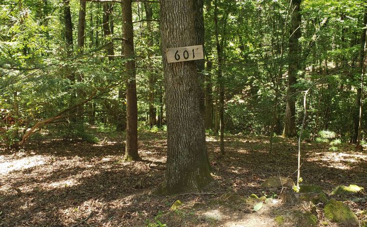 n/a W Neshoba Court, Ellijay