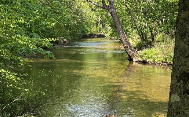 9.8 AC Brown Mountain Road, Suches