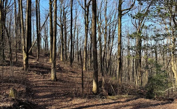 6180 Burnt Mountain Road, Ellijay
