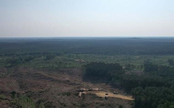 25.3 Acres in Lafayette County, Oxford