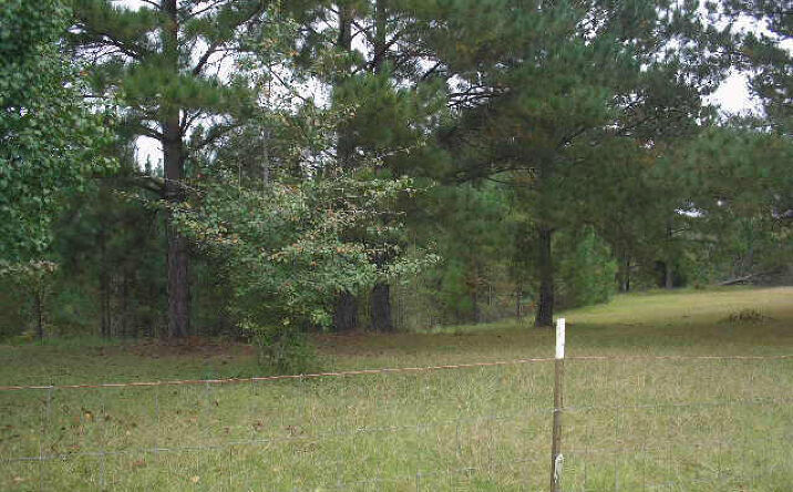 12262 Thea Road, Collinsville