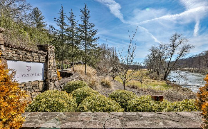 161 Old Toccoa Farm Loop, Mineral Bluff