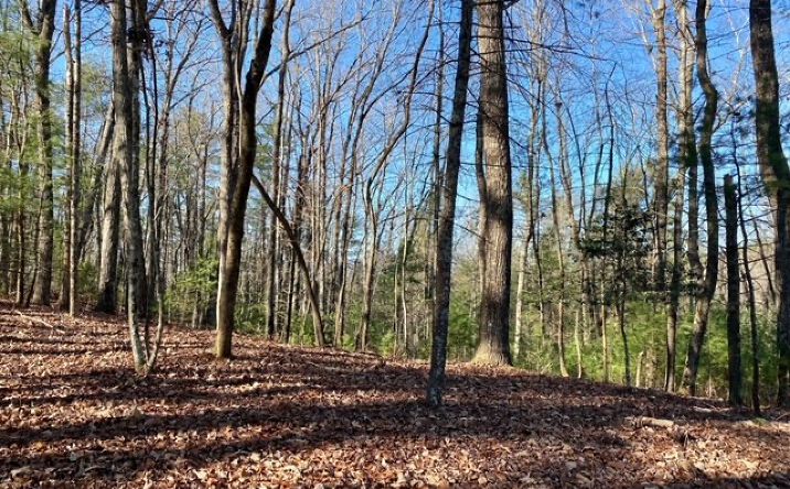 LT 10 Mountain Springs Road, Ellijay