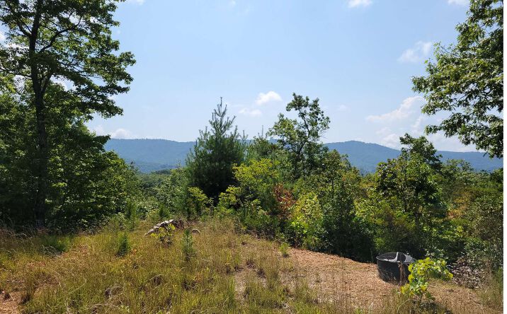 43-44 Rock Mill Trail, Murphy