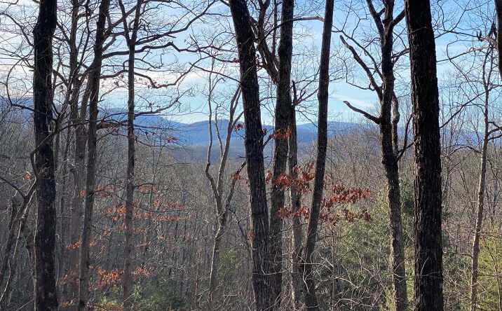 LOT16 Price Road, Blue Ridge