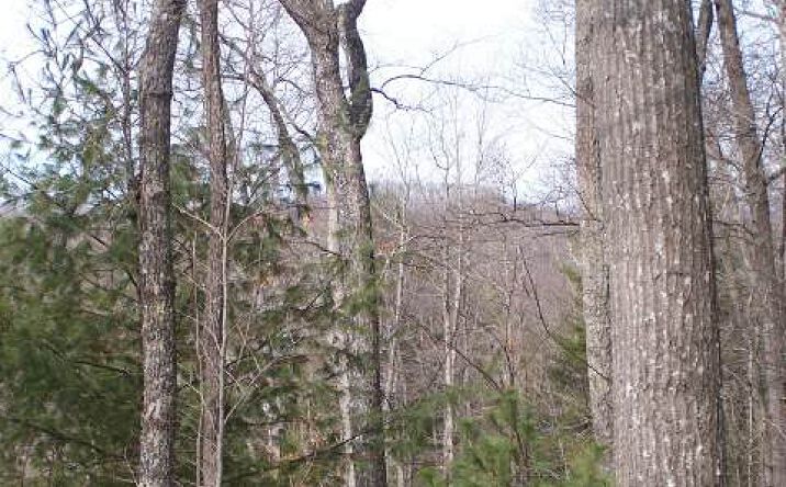 LOT 3 Briar Cove, Morganton
