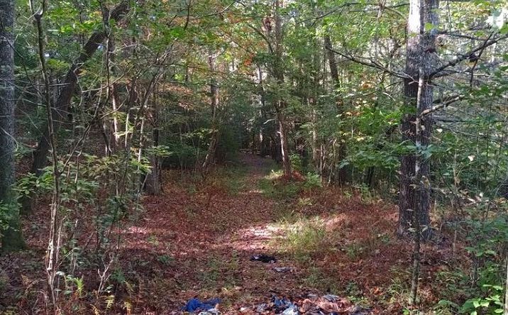 Kaleb Trail, Mineral Bluff