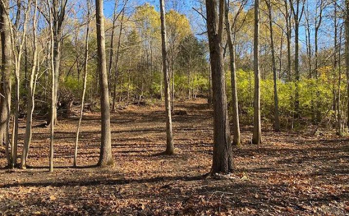 36ac Corwin Road, Wayne Twp