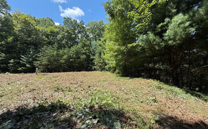 10+ AC Spiva Cove, Blairsville