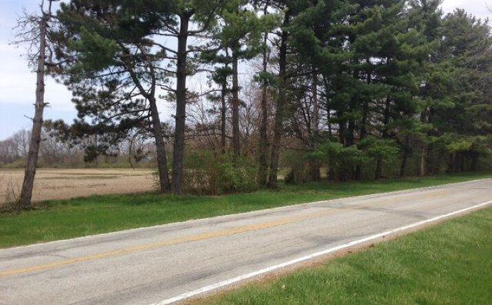 Lammes Lane, Bethel Twp