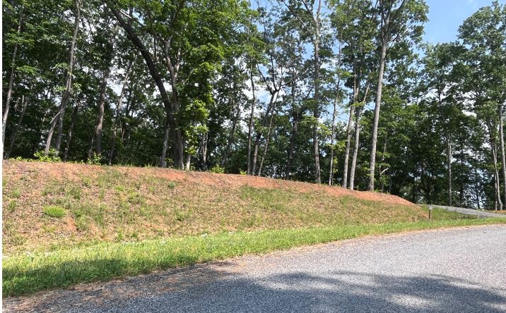 LT 22 Lake Top Lane, Ellijay