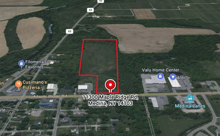 11300 Maple Ridge Rd, Medina