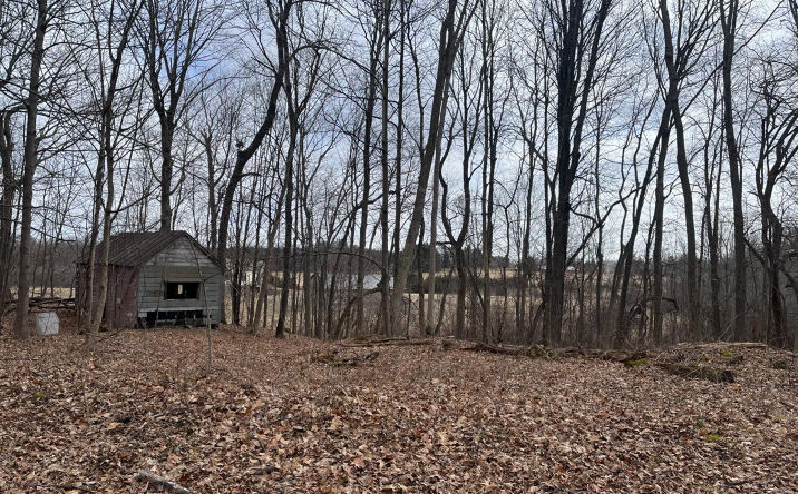 Apple Valley Lane, Germantown