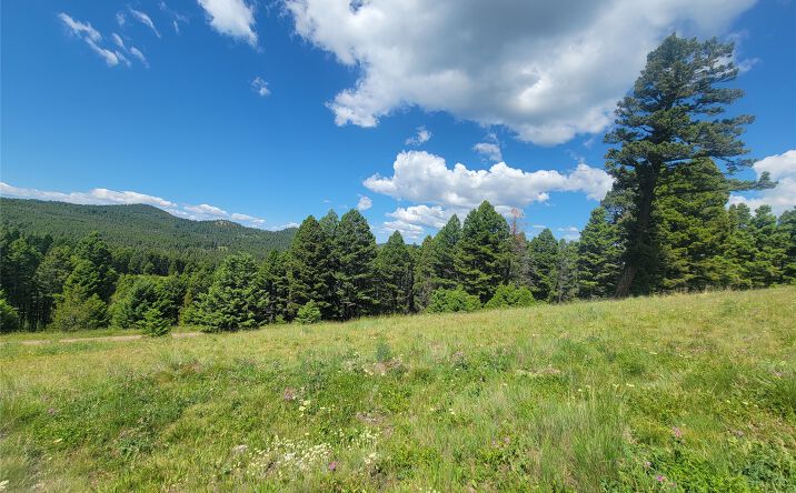 Lot 83 Hoover Creek Road, Helmville