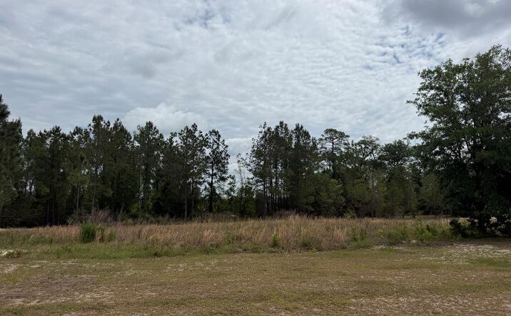 3882 TIMBER RIDGE RD, Valdosta
