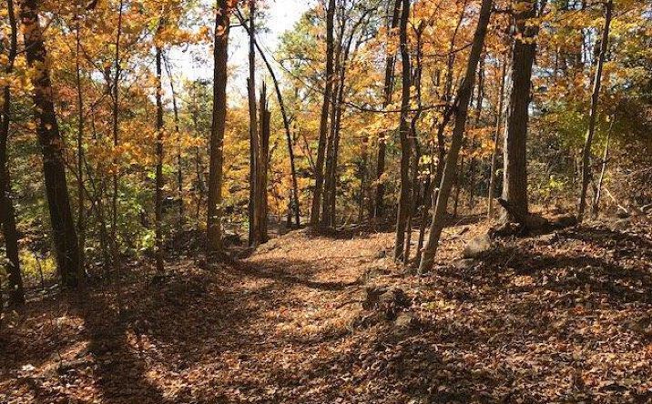 17.571ac Buckley Road, Washington Twp