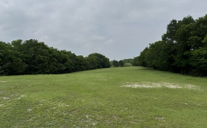 6910 County Road 1218, McKinney
