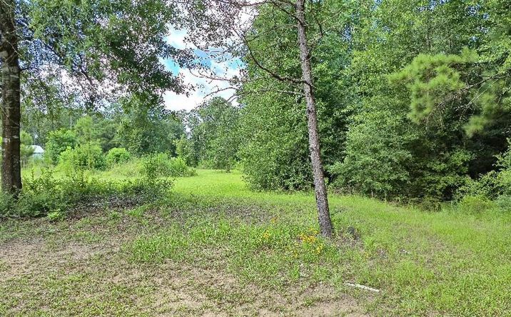 340 Adrian Guidry Road, Longville