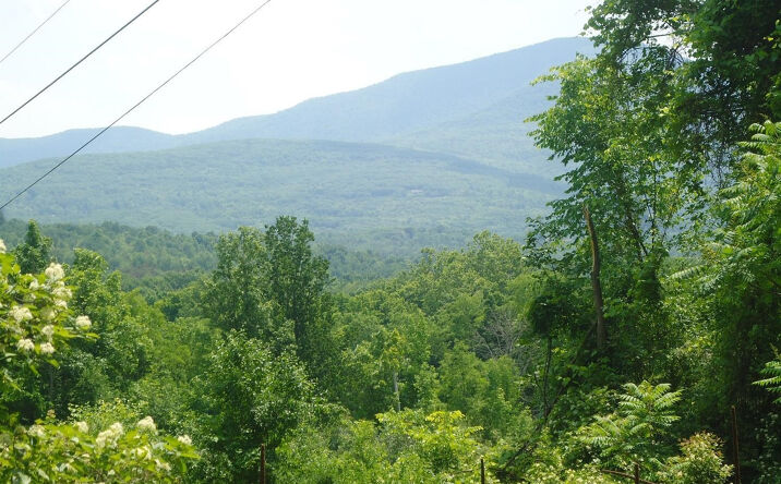 590 Brand Hollow Road, Durham