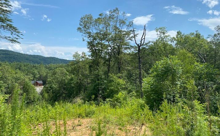 LT 92 Camden Way, Mineral Bluff