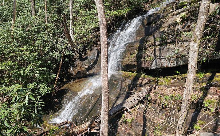 Davis Creek Road, Murphy