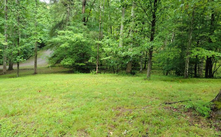 Skyland Trail, Murphy