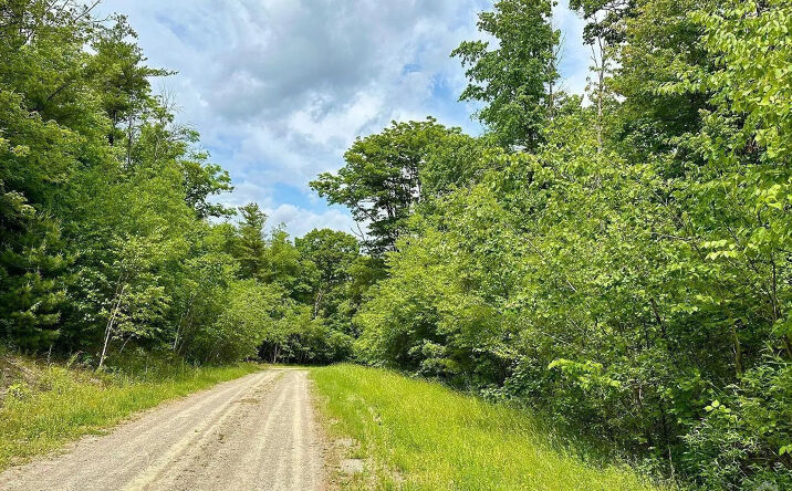 - Lot 8 Old Ghost Road, Canaan