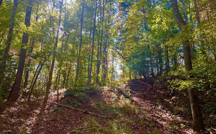 59 High River Landing, Ellijay