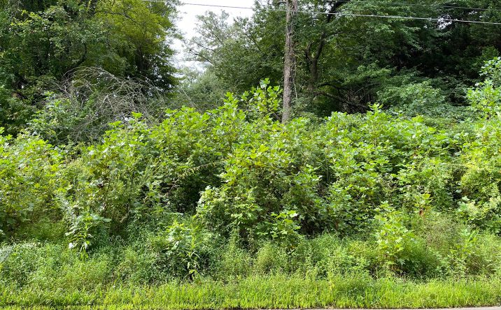 Lot 27 Sneaking Creek Drive, Hayesville