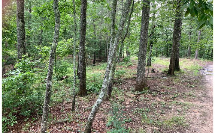 Mouse Creek Trail, Murphy