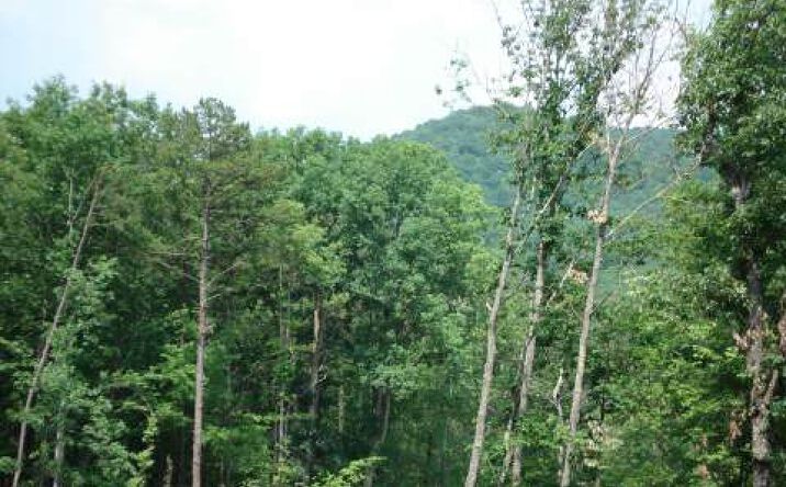 LT 2 Toccoa Farms Heights, Morganton