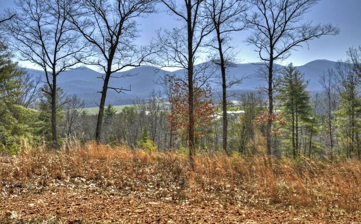 219 Atkins Trail, Blairsville