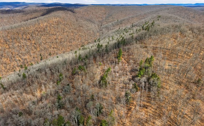 00 Dodge Hollow Road, Emporium