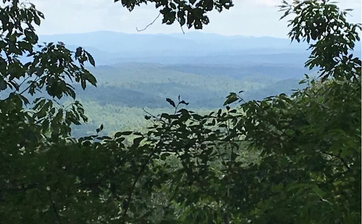 LT 49 White Pine Trail, Ellijay