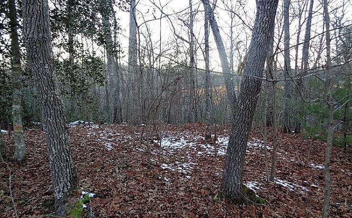 TRACT 2 Town Mountain Road, Hayesville