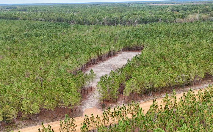 Tract 7 & 8 1262 Penny Morris Road, Baxley