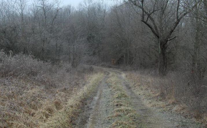 Magee Jones Road, Bratton Twp