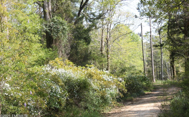 11097 MS-39, Daleville