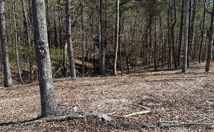 Lot 188 The Ridges, Morganton
